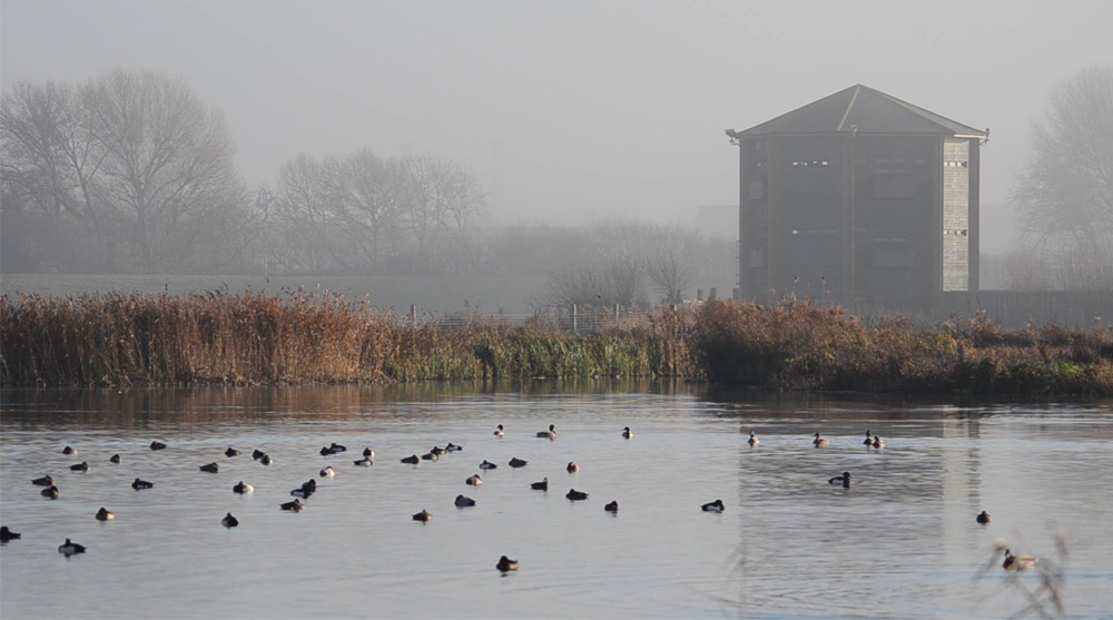 Peacock tower, london, wetlands, architecture, hide, reserve